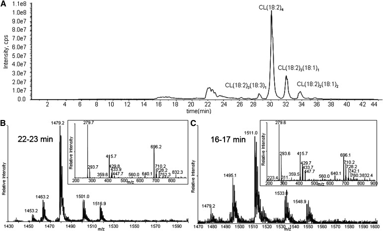 Fig. 7.