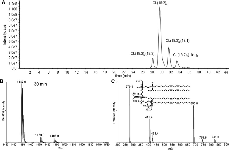 Fig. 1.