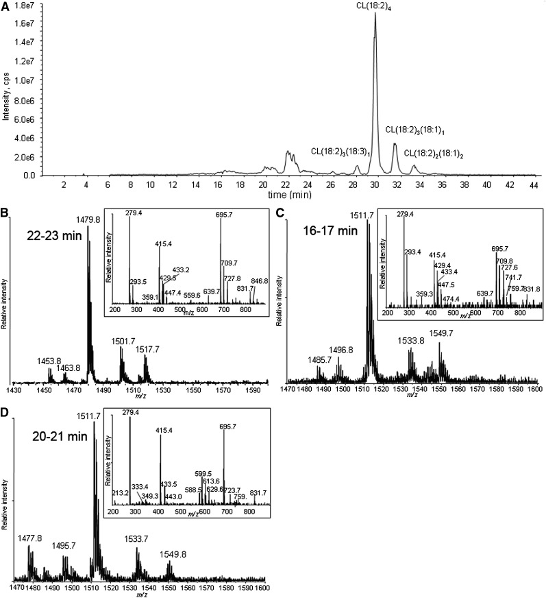 Fig. 2.