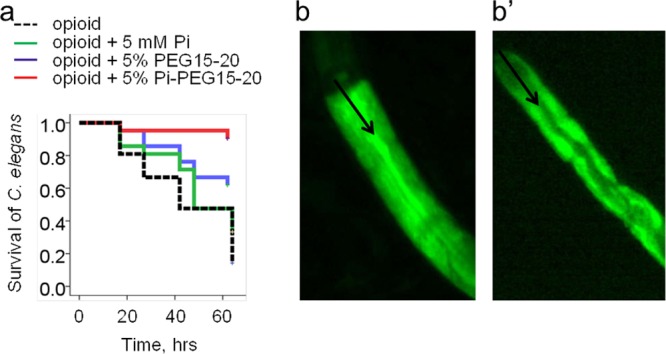 FIG 3