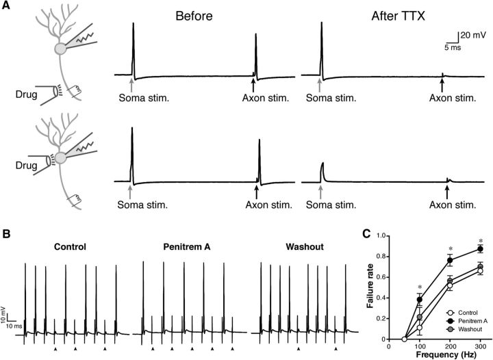 Figure 5.