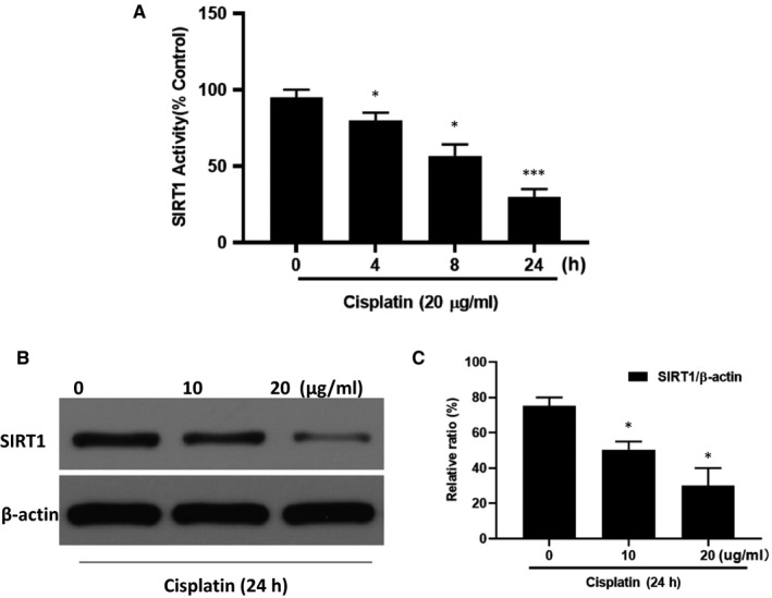 FIGURE 1