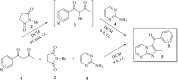 Scheme 2