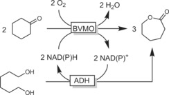 Scheme 45