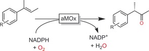 Scheme 27