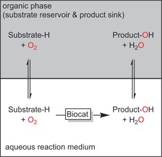 Scheme 5