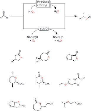 Scheme 40