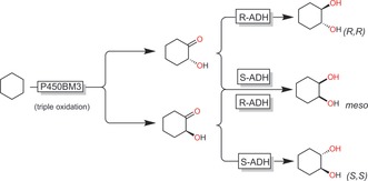 Scheme 16