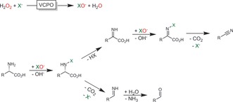 Scheme 38