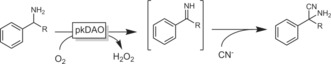 Scheme 37