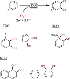 Scheme 10