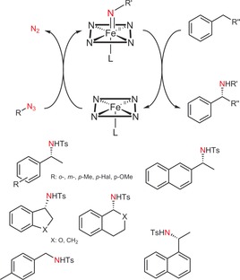 Scheme 18