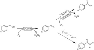 Scheme 30