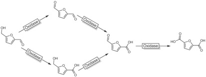 Scheme 33