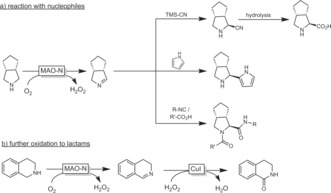 Scheme 36