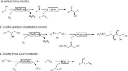 Scheme 28