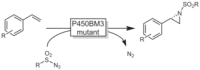 Scheme 24