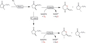 Scheme 42