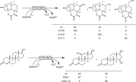 Scheme 7