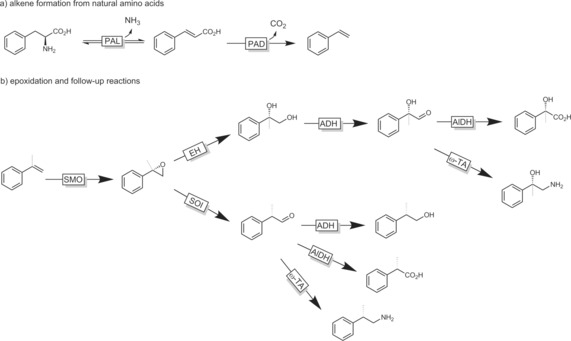 Scheme 23