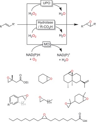 Scheme 20