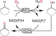 Scheme 15