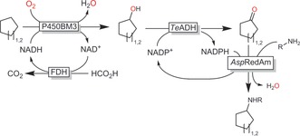 Scheme 17