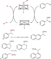 Scheme 18