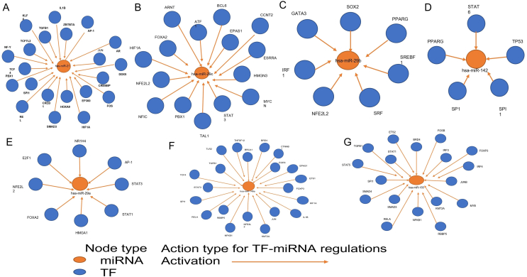 Figure 4