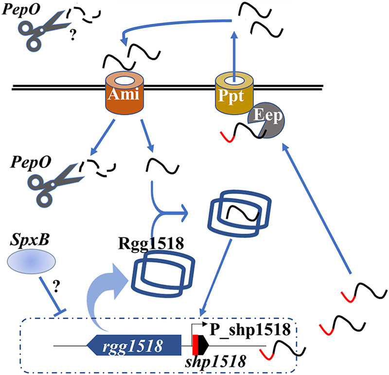 FIG 6