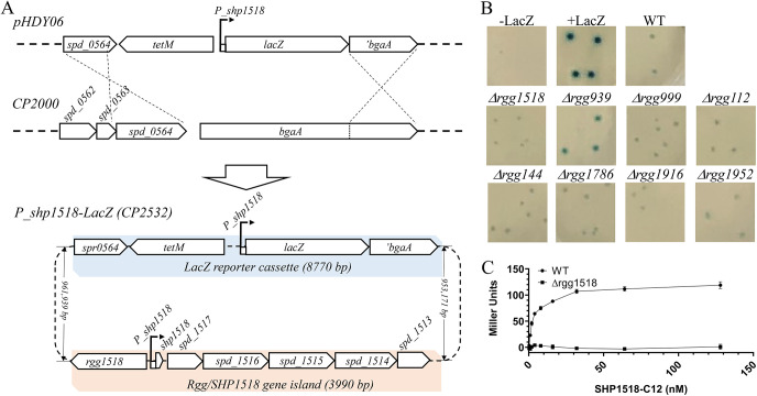 FIG 2