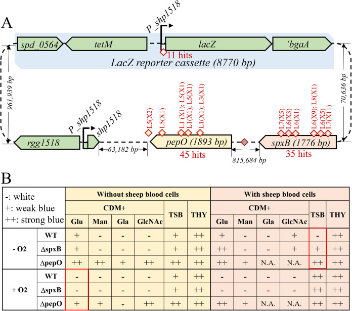 FIG 3