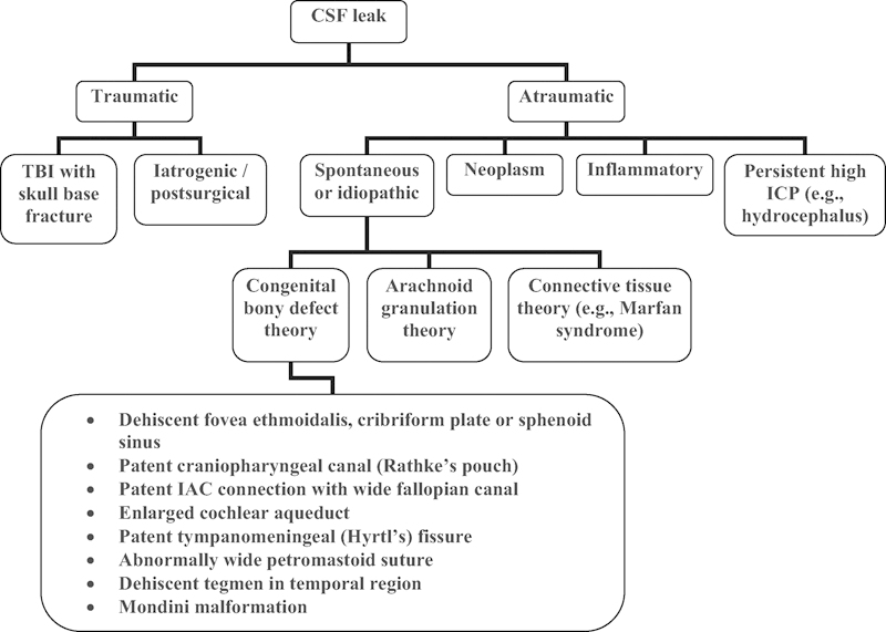 Spontaneous Cerebrospinal Fluid Otorrhea from a Persistent ...