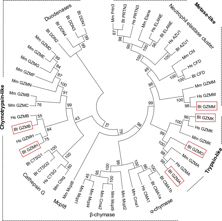 Fig. 3