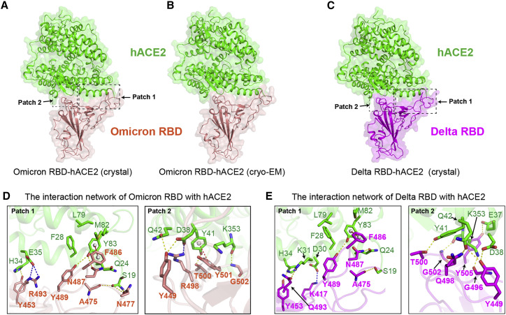 Figure 3