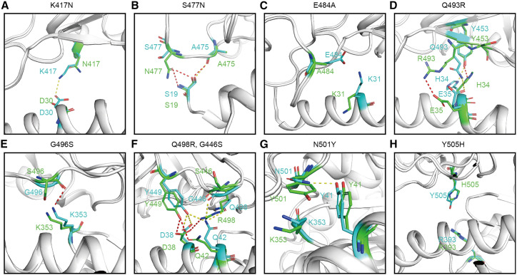 Figure 5