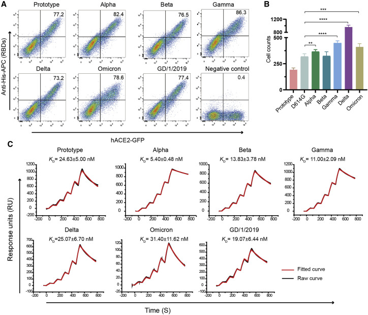 Figure 2