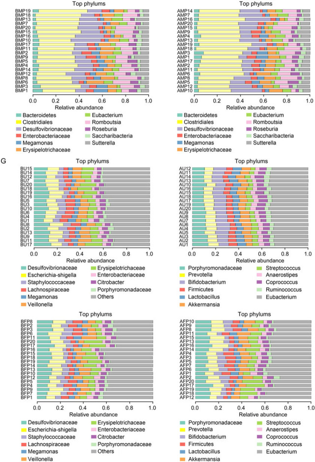 Fig. 2 C, D, E, F, G.