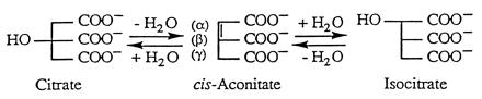 Scheme I