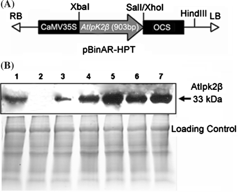 Fig. 2