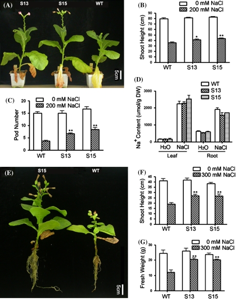 Fig. 4