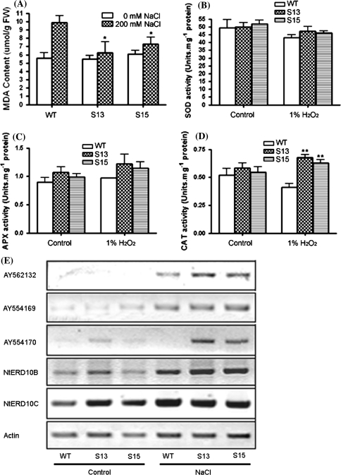 Fig. 7