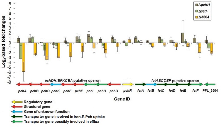 Fig 3