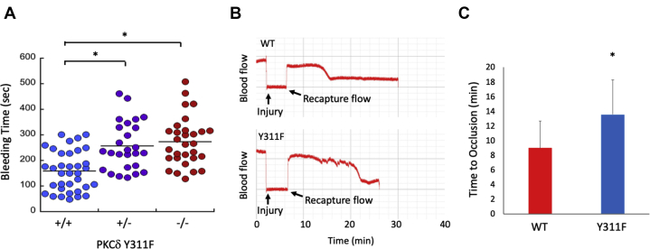 Figure 3