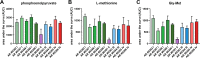 FIG 2