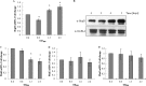 FIG 8