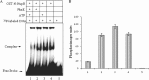 FIG 7