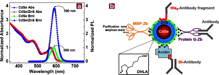 Fig. 2