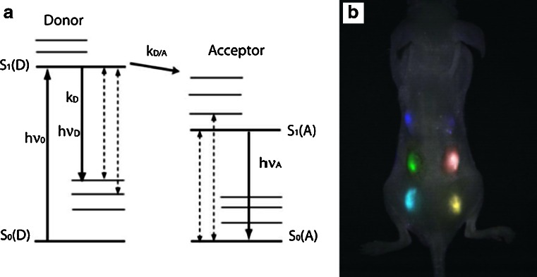 Fig. 10