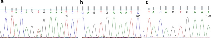 Fig 1